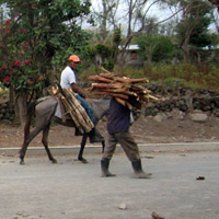 Workers in Nicaragua