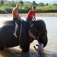 Bareback elephant riding in Pai - taking a bath